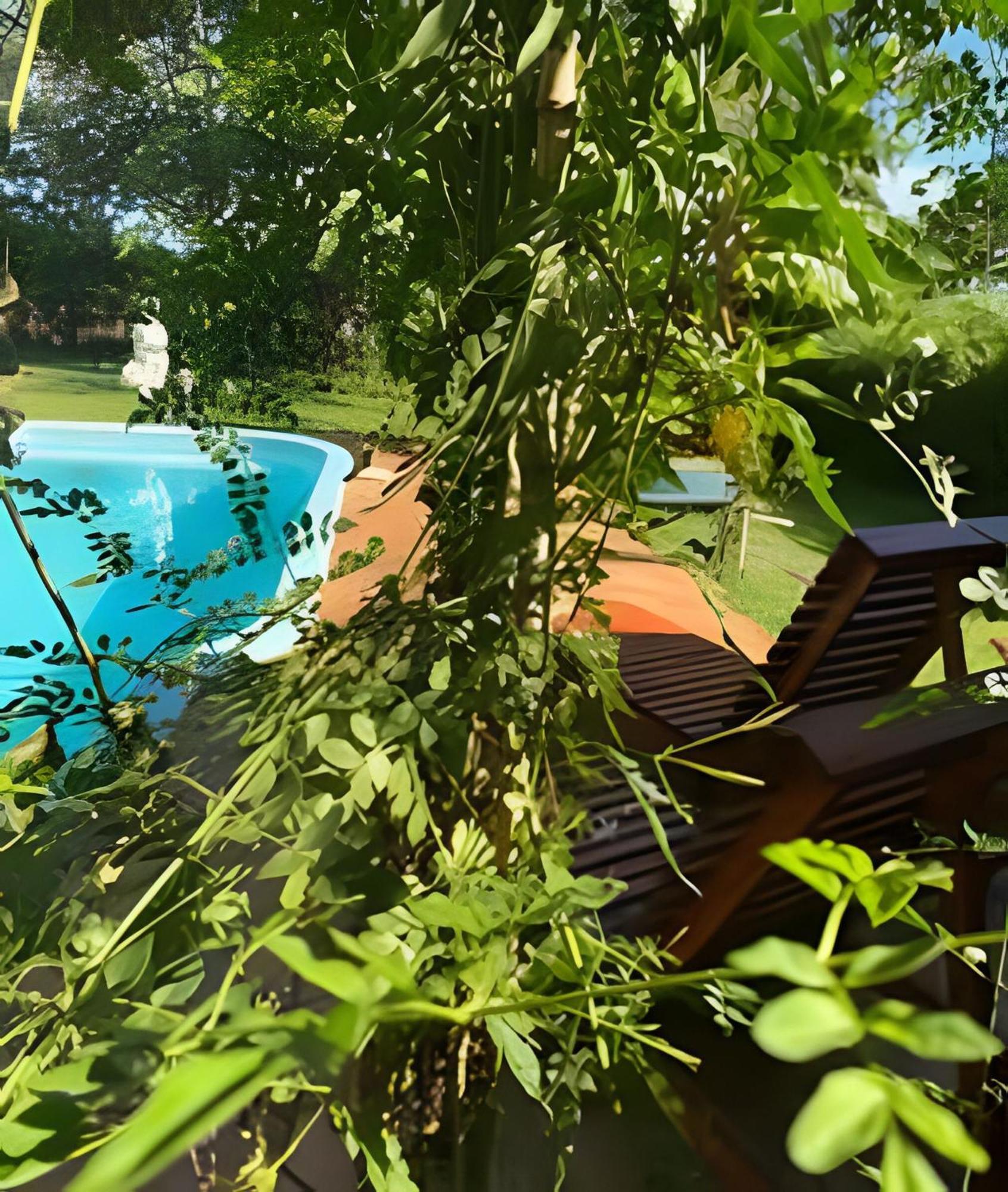 Cabanas Con Piscina En La Entrada De Oberá Exterior foto