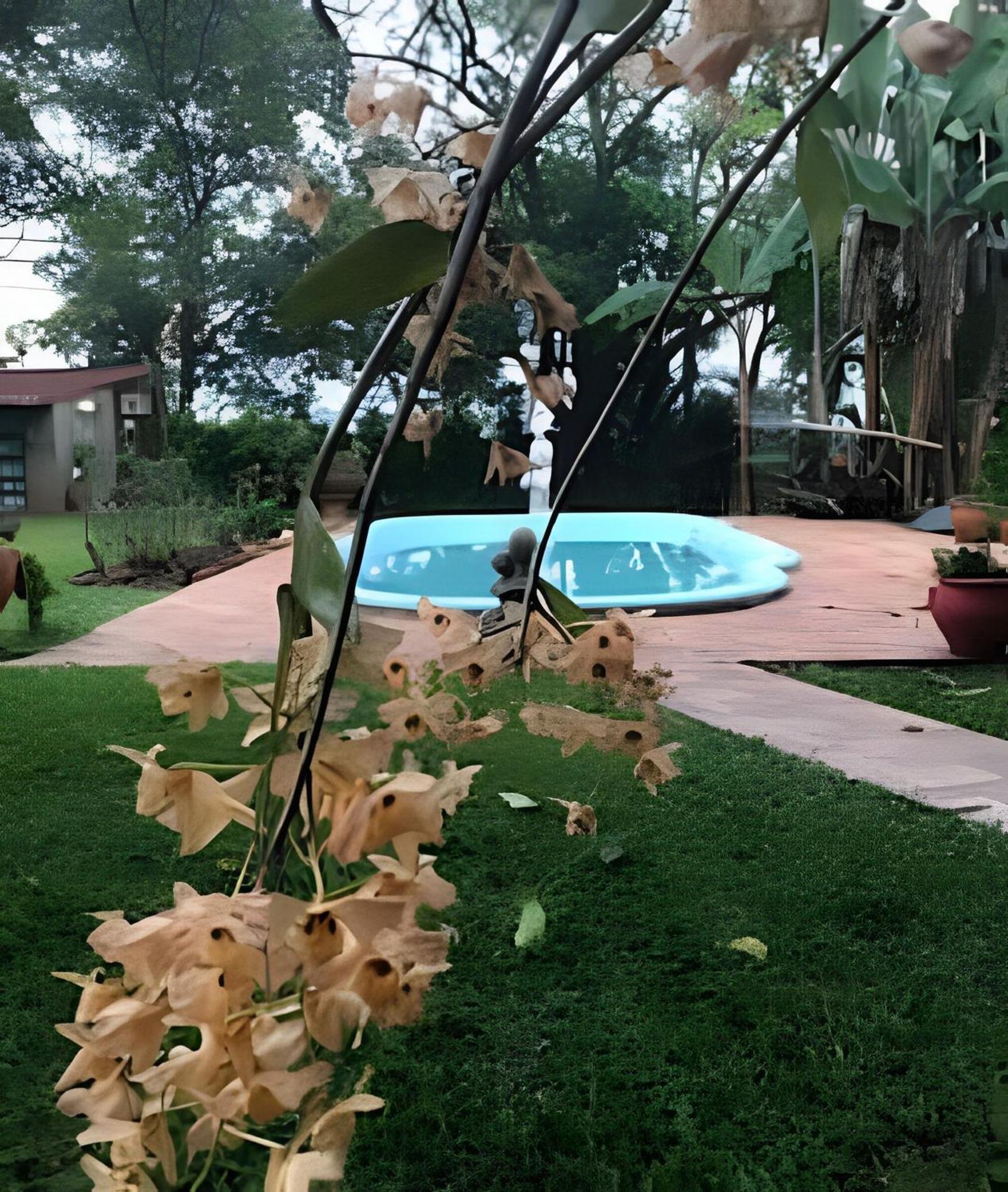 Cabanas Con Piscina En La Entrada De Oberá Exterior foto